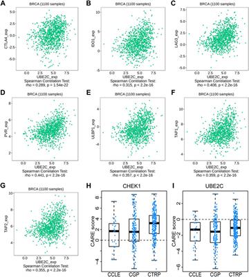 Integrative Bioinformatics Analysis Reveals CHEK1 and UBE2C as Luminal A Breast Cancer Subtype Biomarkers